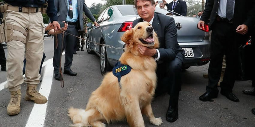 pena por maus tratos aos animais