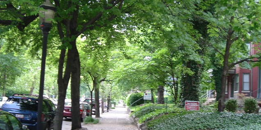 verde da esperança