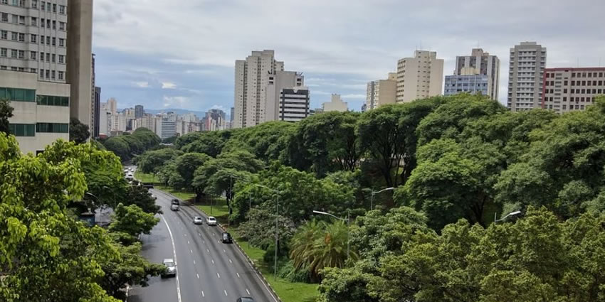 verde da esperança